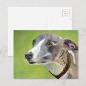 Carte postale Greyhound (a404) (Devant / Derrière)