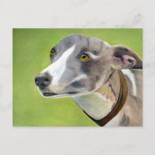Carte postale Greyhound (a404)