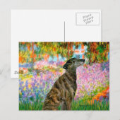 Carte Postale Greyhound (br2) - Jardin (Devant / Derrière)