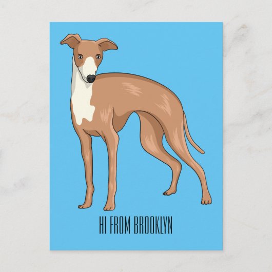 Carte Postale Greyhound dog (Devant)