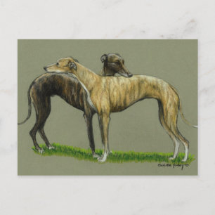 Carte postale "Greyhound Hug" Dog Art