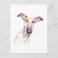 Carte postale Greyhound, Illustration de chien