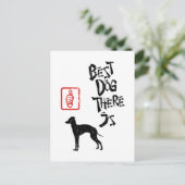 Carte Postale Greyhound italien (Debout devant)
