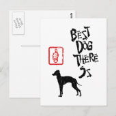 Carte Postale Greyhound italien (Devant / Derrière)