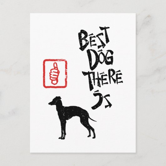 Carte Postale Greyhound italien (Devant)