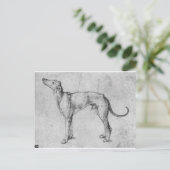 Carte Postale Greyhound par Albrecht Durer (Debout devant)