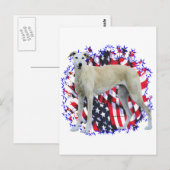 Carte Postale Greyhound Patriot (Devant / Derrière)