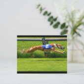 Carte Postale Greyhound Racing (Debout devant)