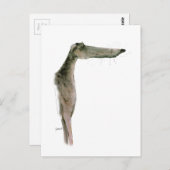 Carte Postale Greyhound, tony fernandes (Devant / Derrière)