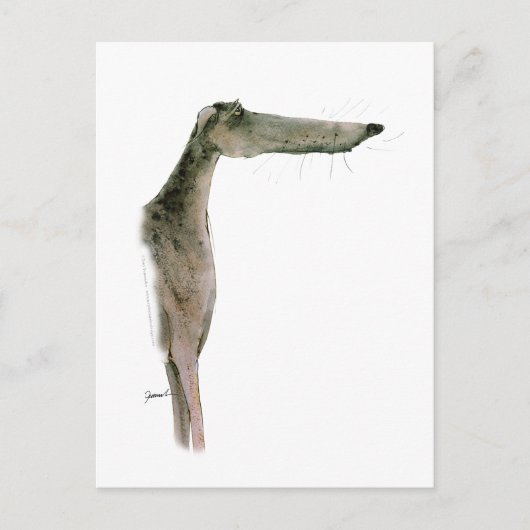 Carte Postale Greyhound, tony fernandes (Devant)