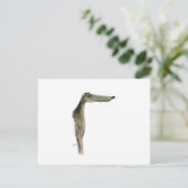 Carte Postale Greyhound, tony fernandes (Debout devant)