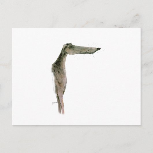 Carte Postale Greyhound, tony fernandes (Devant)