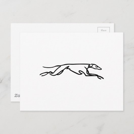 Carte Postale Greyhounds (Devant / Derrière)