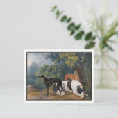 Carte Postale Greyhounds et Mastiff par Sawrey Gilpin (Debout devant)