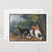 Carte Postale Greyhounds et Mastiff par Sawrey Gilpin (Devant / Derrière)
