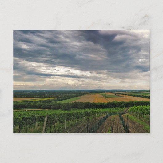 Carte postale "Griffin" (Devant)