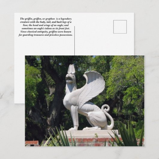 Carte postale Griffon (Devant / Derrière)