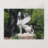 Carte postale Griffon (Devant)