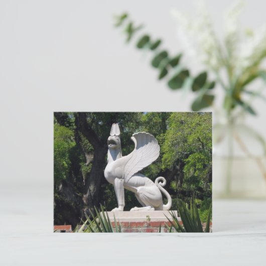 Carte postale Griffon (Debout devant)