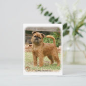 Carte Postale Griffon Bruxellois 9Y406D-078 (Debout devant)