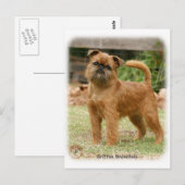 Carte Postale Griffon Bruxellois 9Y406D-078 (Devant / Derrière)