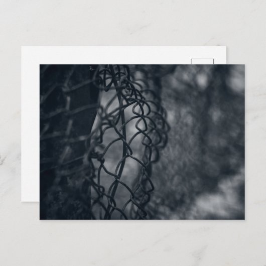Carte Postale Grille de clôture métallique fine art (Devant / Derrière)