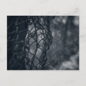 Carte Postale Grille de clôture métallique fine art (Devant)