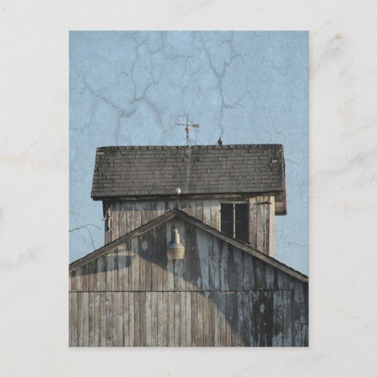 Carte Postale Grille de maïs (Devant)