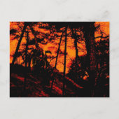 Carte Postale Grim Reaper dans la Forêt Lit Orange Effrayant (Devant)