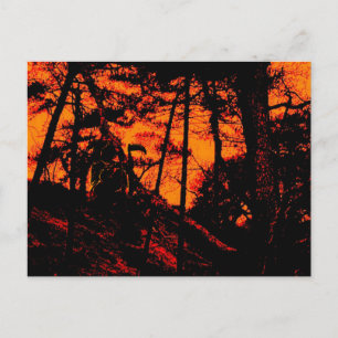 Carte Postale Grim Reaper dans la Forêt Lit Orange Effrayant