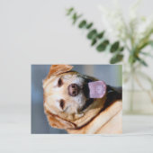 Carte Postale Grin (Debout devant)