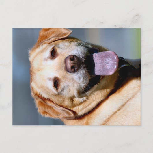 Carte Postale Grin (Devant)