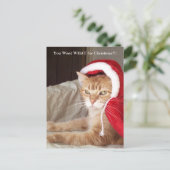 Carte postale grincheuse drôle de Noël de chat de (Debout devant)