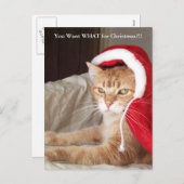 Carte postale grincheuse drôle de Noël de chat de (Devant / Derrière)