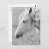 Carte Postale Gris (Devant / Derrière)