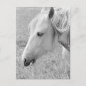 Carte Postale Gris (Devant)