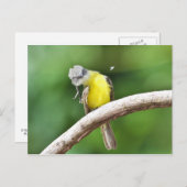 Carte Postale Gris (Devant / Derrière)