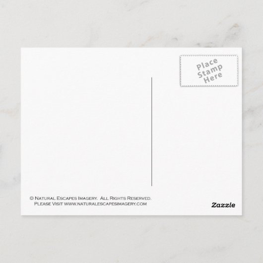 Carte Postale Gris (Dos)