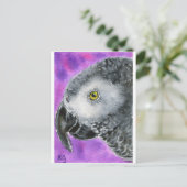 Carte Postale Gris africain (Debout devant)