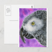 Carte Postale Gris africain (Devant / Derrière)