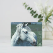 Carte Postale Gris appâté dans un pâturage fleuri (Debout devant)