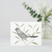 Carte Postale Gris Catbird Oiseau Art (Debout devant)
