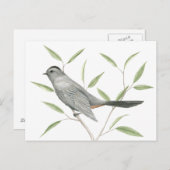 Carte Postale Gris Catbird Oiseau Art (Devant / Derrière)
