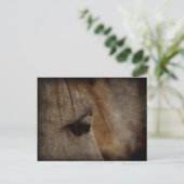 Carte Postale Gris Cheval Face Grunge (Debout devant)