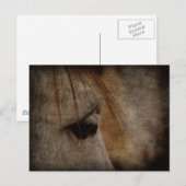 Carte Postale Gris Cheval Face Grunge (Devant / Derrière)