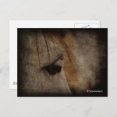 Carte Postale Gris Cheval Grunge (Devant / Derrière)