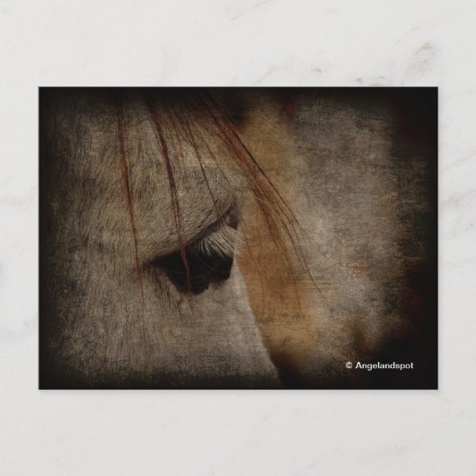 Carte Postale Gris Cheval Grunge (Devant)