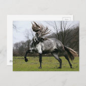 Carte Postale Gris de pomme (Devant / Derrière)