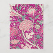 Carte Postale Gris en rose (Devant)