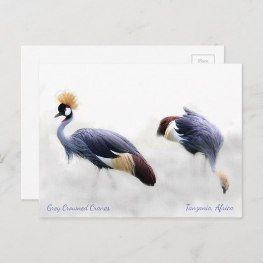 Carte Postale Gris Gris Crowne (Devant / Derrière)